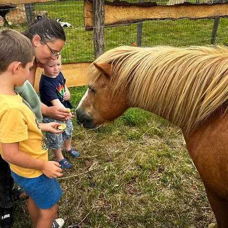 Mobil Home, Animaux Admis - 3 Pers. - Api-1-52-2661