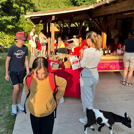 Mobil Home, Animaux Admis - 3 Pers. - Api-1-52-2661 * Monplaisant
